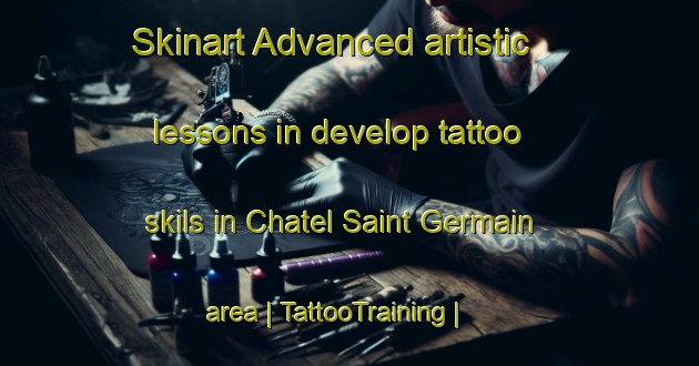 Skinart Advanced artistic lessons in develop tattoo skils in Chatel Saint Germain area | TattooTraining | TattooClasses | SkinartTraining-France